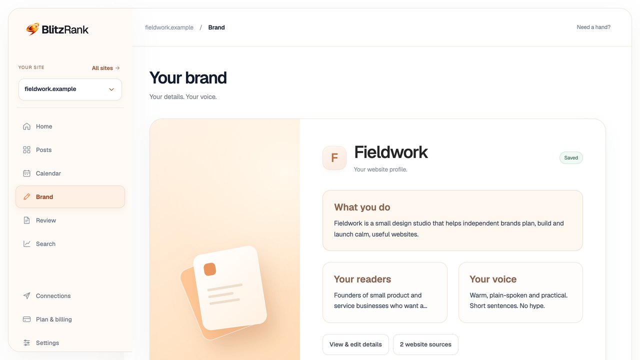 BlitzRank's editable Brand view for a website